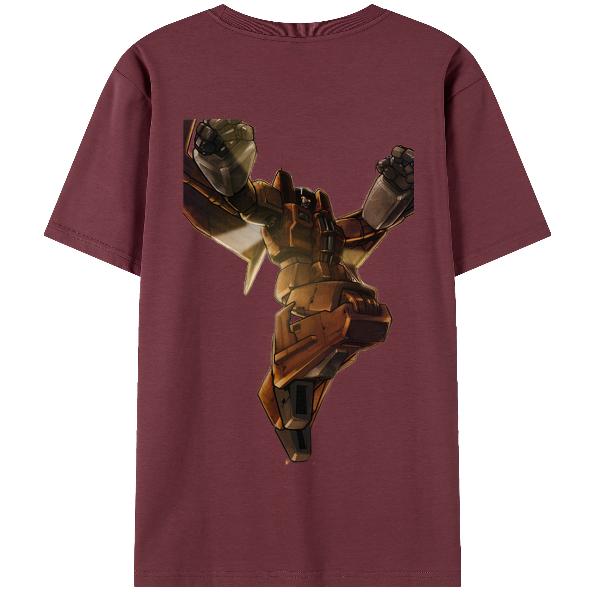 （画像用）  綿100％半袖Tシャツ（背面プリント）